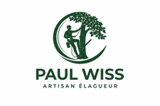 PAUL WISS
